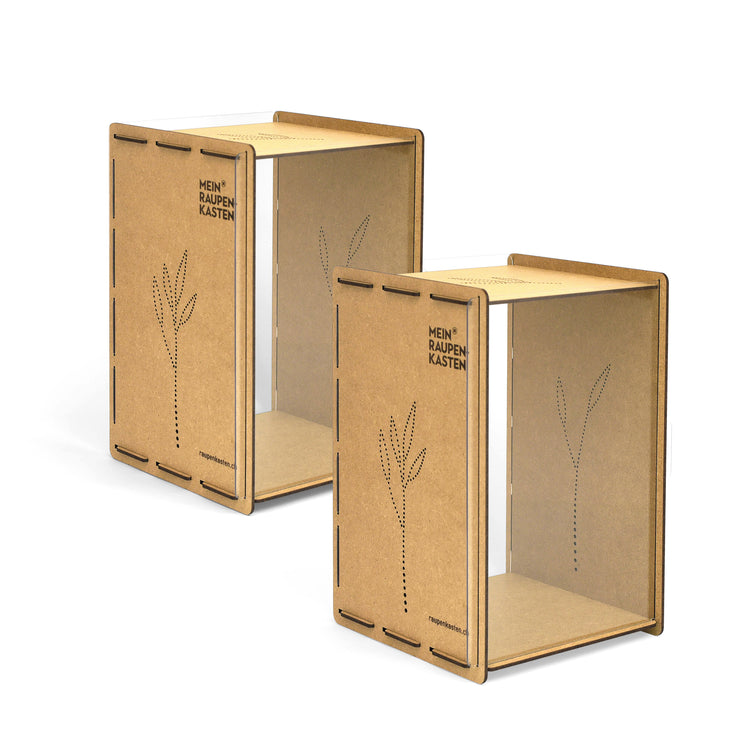 Klassensatz «Raupe-Schmetterling»