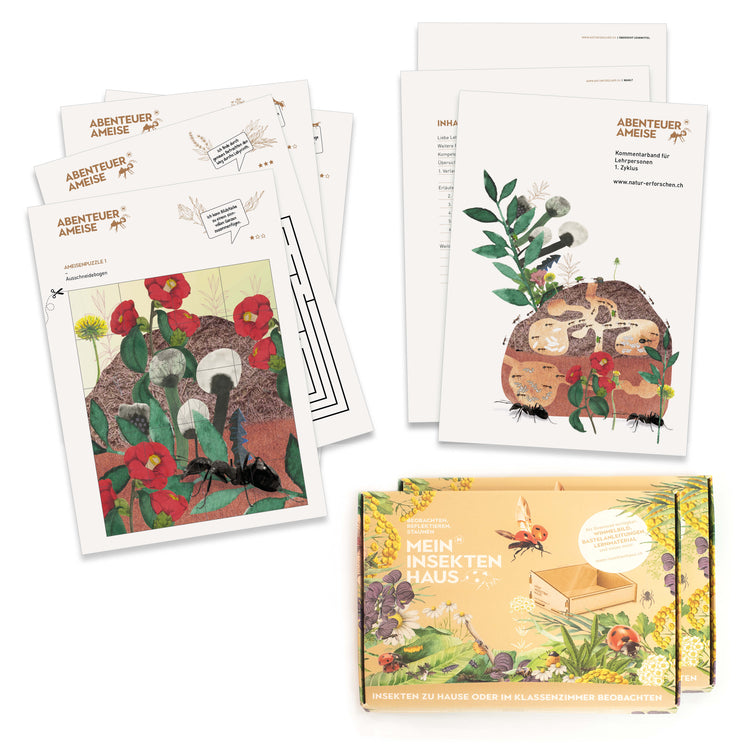 Klassensatz «Abenteuer Ameise»