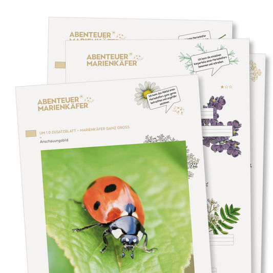 Klassensatz «Marienkäfer»