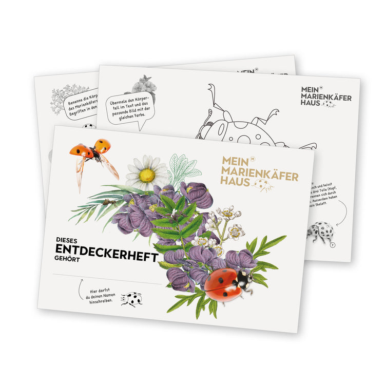 Klassensatz «Marienkäfer»