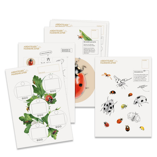NMG-Lehrmittel KiGa «Marienkäfer»