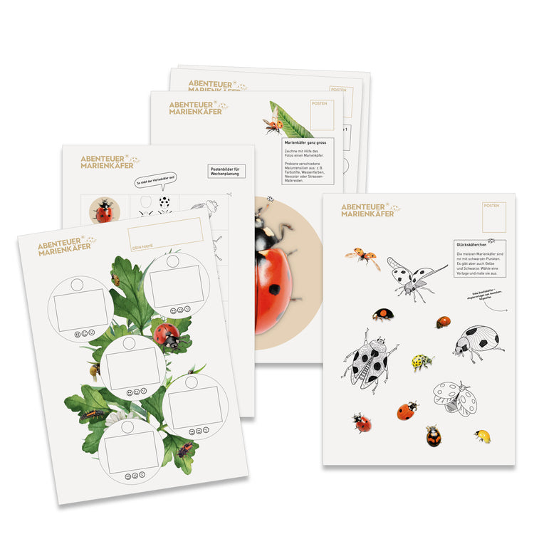 NMG-Lehrmittel KiGa «Marienkäfer»