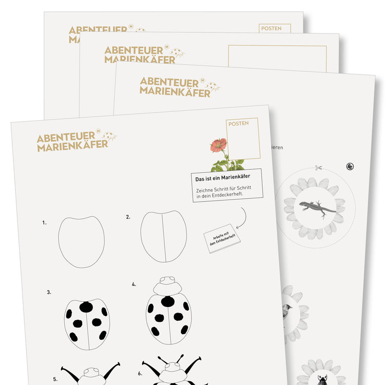 NMG-Lehrmittel KiGa «Marienkäfer»