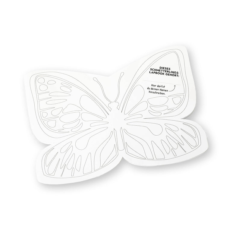 NMG-Lehrmittel «Raupe-Schmetterling»