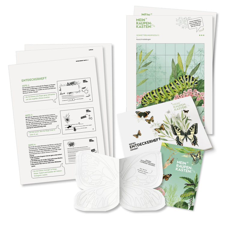 Klassensatz «Raupe-Schmetterling»