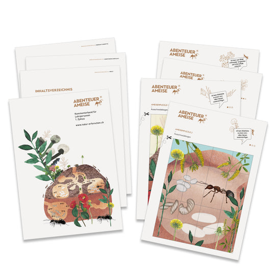 NMG-Lehrmittel «Abenteuer Ameise»