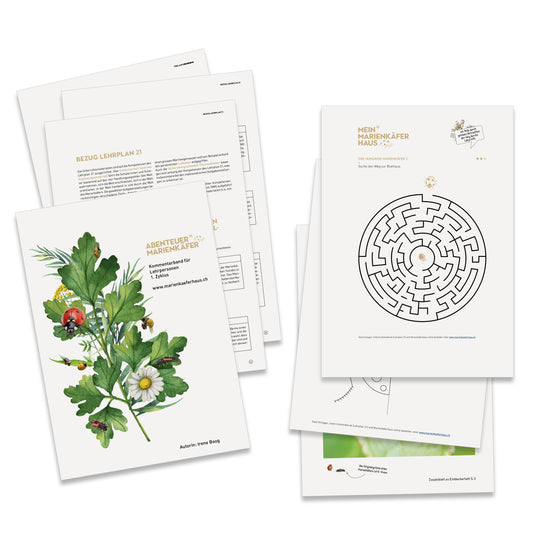 NMG-Lehrmittel «Marienkäfer»