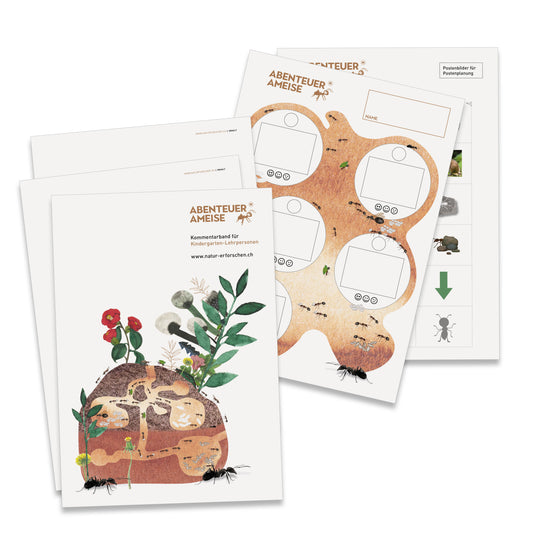 NMG-Lehrmittel KiGa «Abenteuer Ameise»