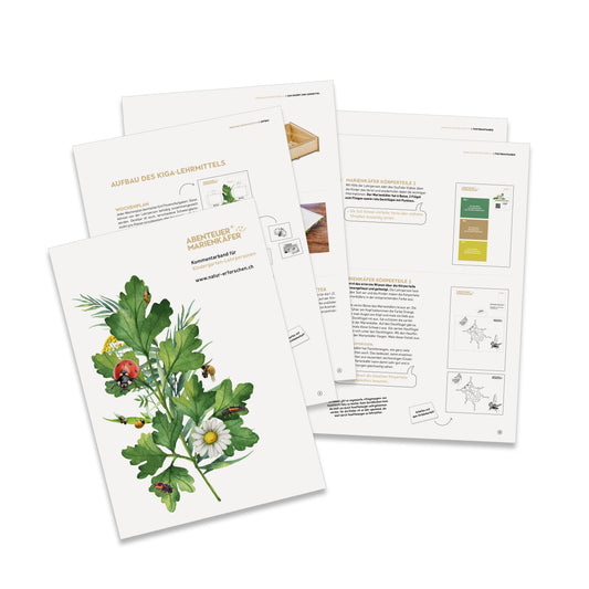 NMG-Lehrmittel KiGa «Marienkäfer»