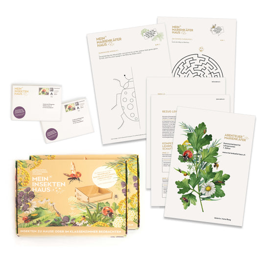 Klassensatz «Marienkäfer»