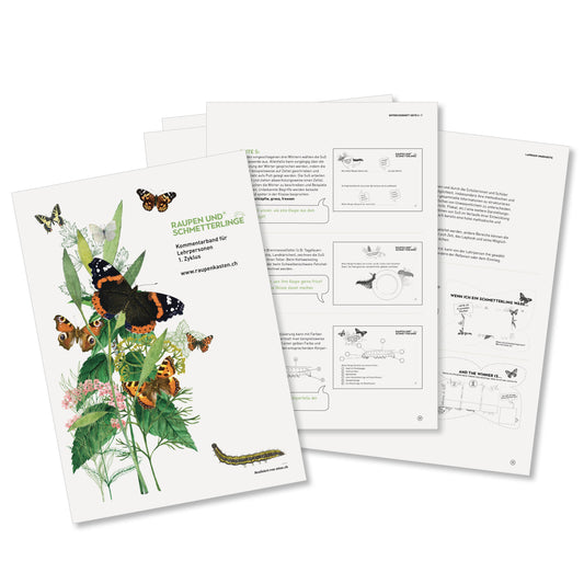 NMG-Lehrmittel «Raupe-Schmetterling»