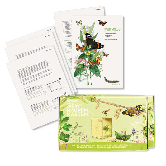 Klassensatz «Raupe-Schmetterling»